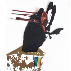 introduction image