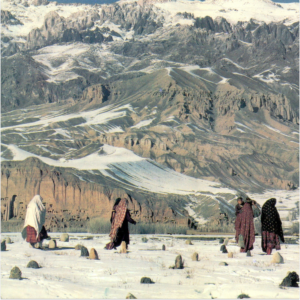 introduction image